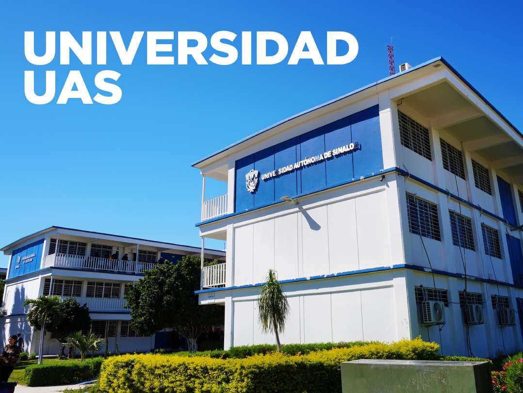 Universidad UAS